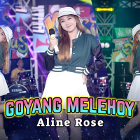 Goyang Melehoy (Single)