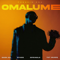 Omalume (feat. Sykes, Dash SA, Springle, Supremme & T&TMusiq) (Single)