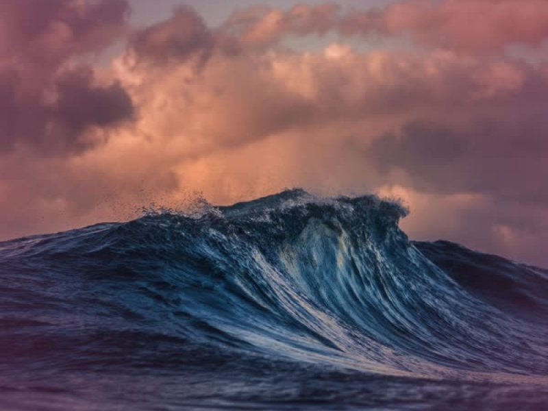 Sounds of Sea Waves and Gentle Wind for Meditation and Focus (Single)