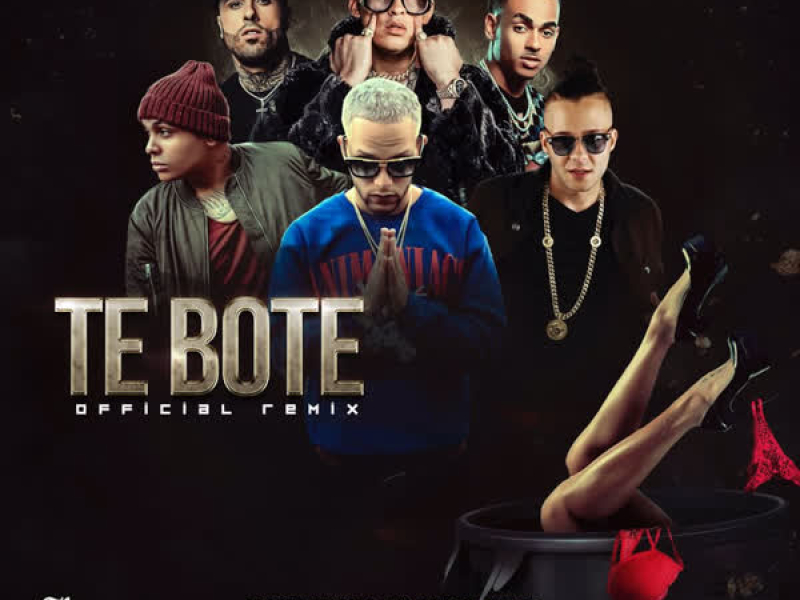 Te Boté (Remix) (Single)