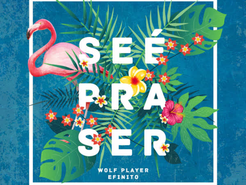 Se É Pra Ser (Single)