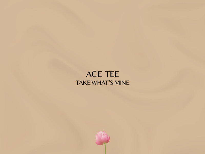 TAKE WHAT'S MINE (Single)