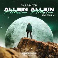 Allein Allein (Single)