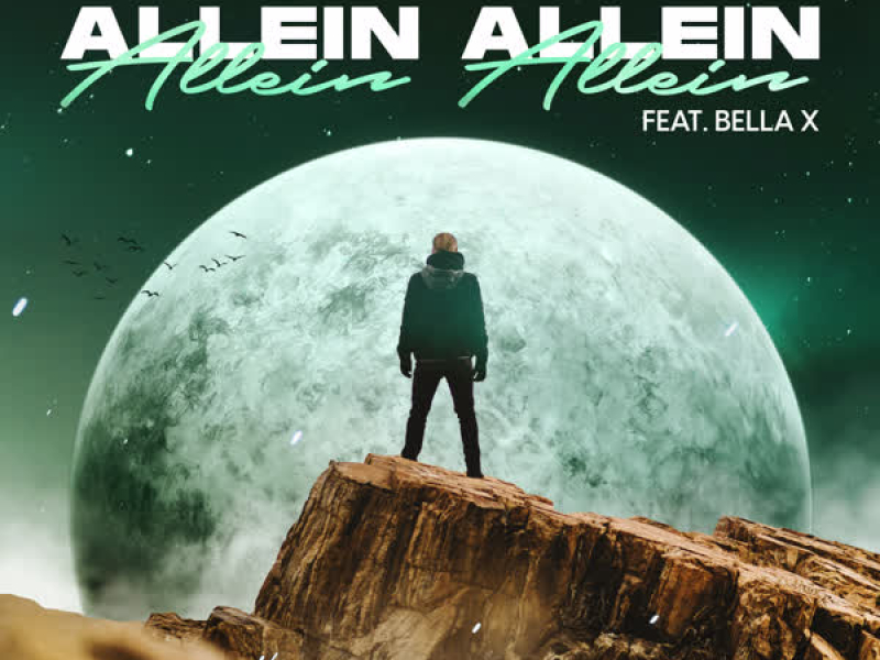 Allein Allein (Single)