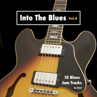 Into The Blues, Vol. 8 - 10 Blues Jam Tracks (Single)