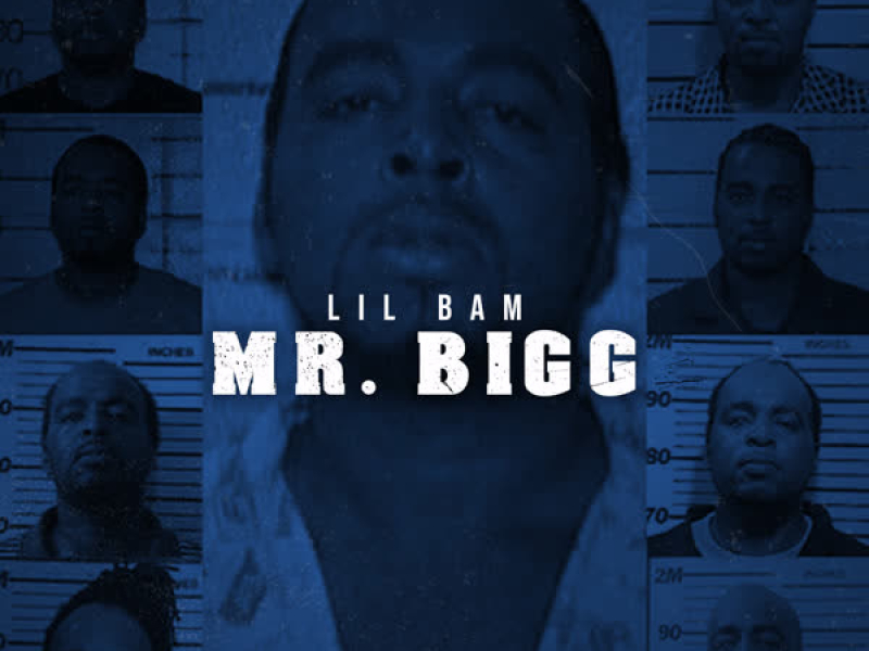 Mr. Bigg (Single)