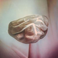 dumfoun (Single)