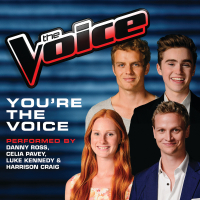 You're The Voice (Single)