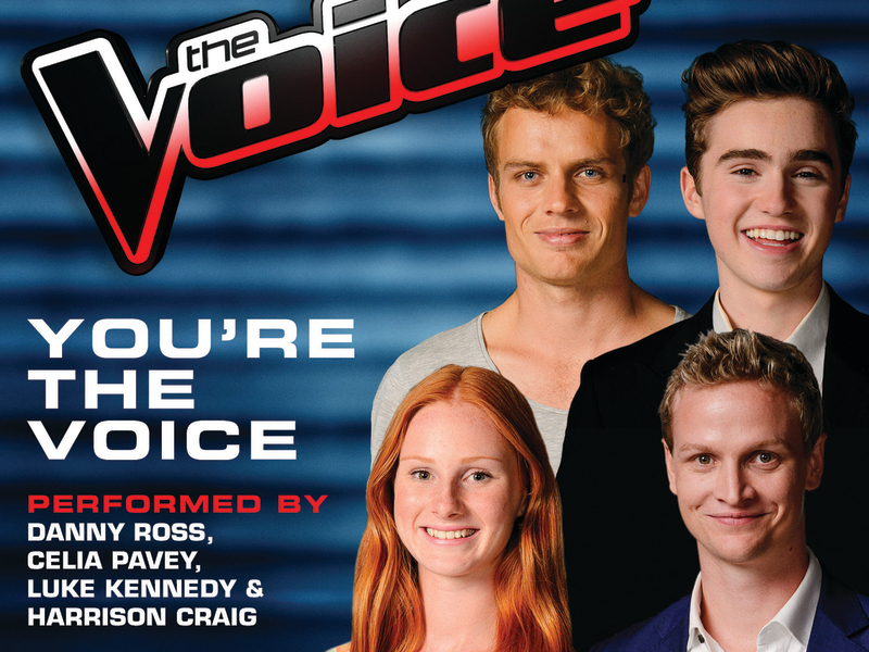 You're The Voice (Single)