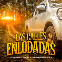 Las Calles Enlodadas (Single)