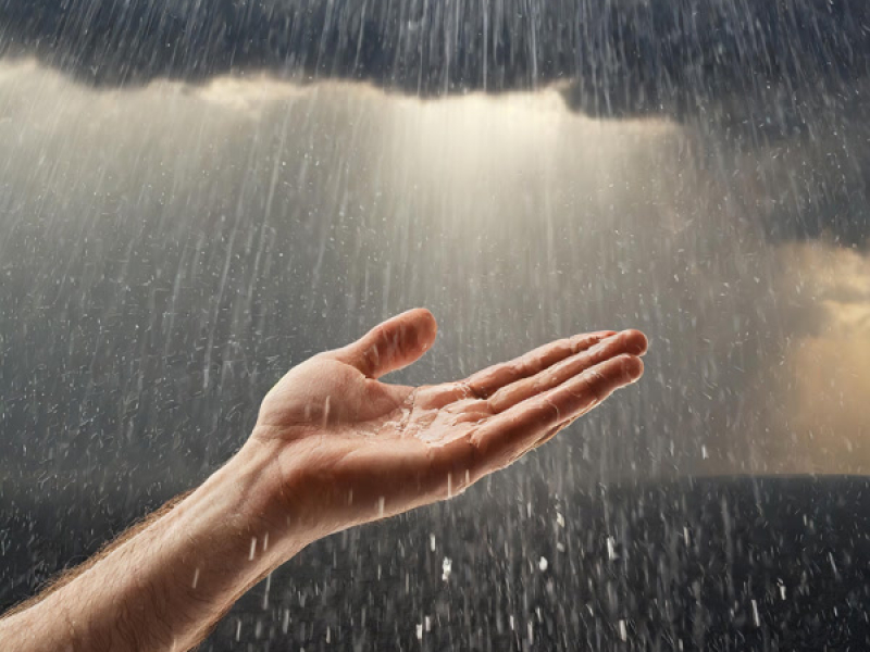 Taken Far Too Early (Single)