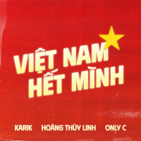 Việt Nam Hết Mình (Single)