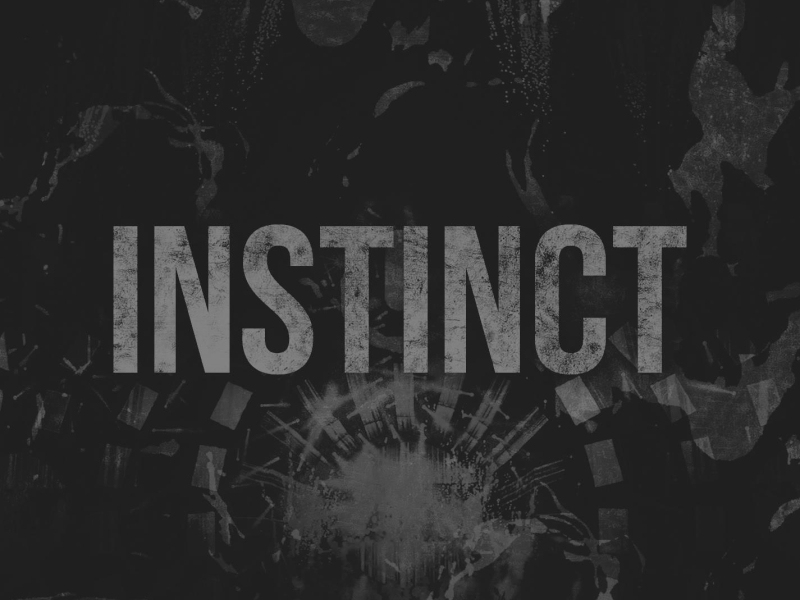 Instinct ((Original Mix)) (Single)