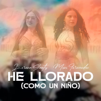 He Llorado (Como Un Niño) (Single)