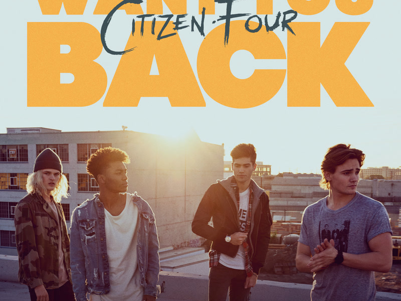 Want You Back (Single)