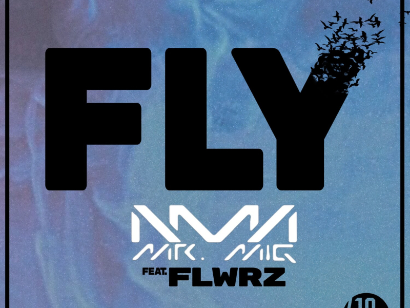 Fly (Extended Mix) (Single)