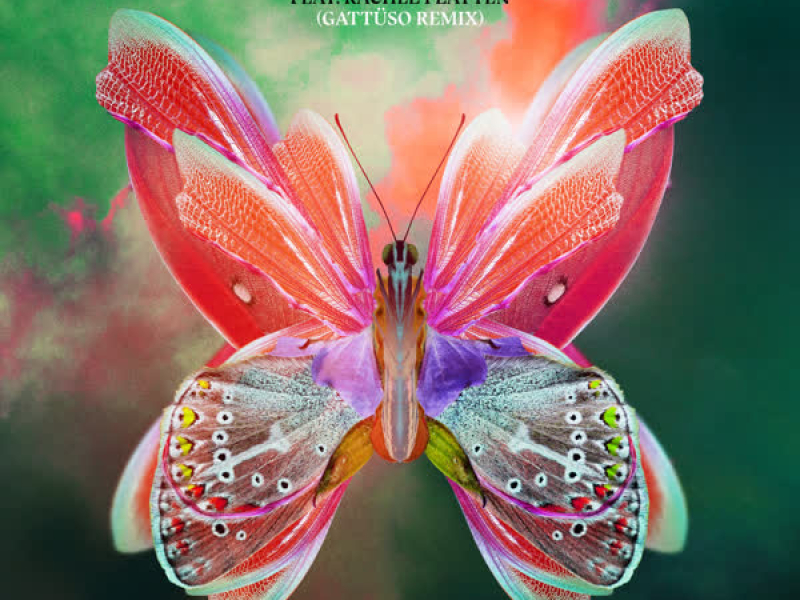 Little Bit Of Love (GATTÜSO Remix) (Single)