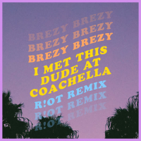 I Met This Dude at Coachella (R!OT Remix) (Single)