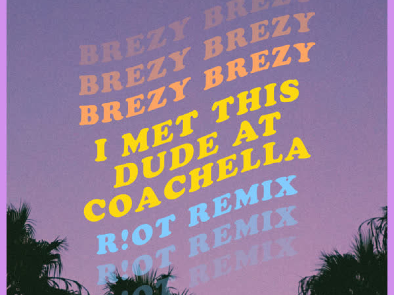 I Met This Dude at Coachella (R!OT Remix) (Single)