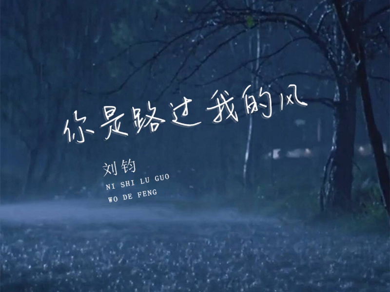 你是路过我的风 (Single)