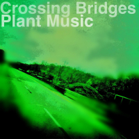 Plant Music (Single)