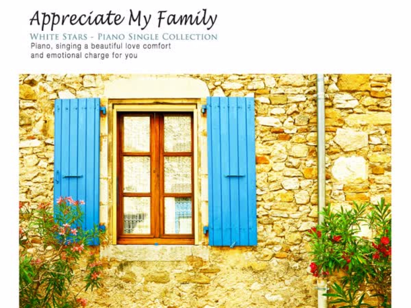 My gratitude (Single)