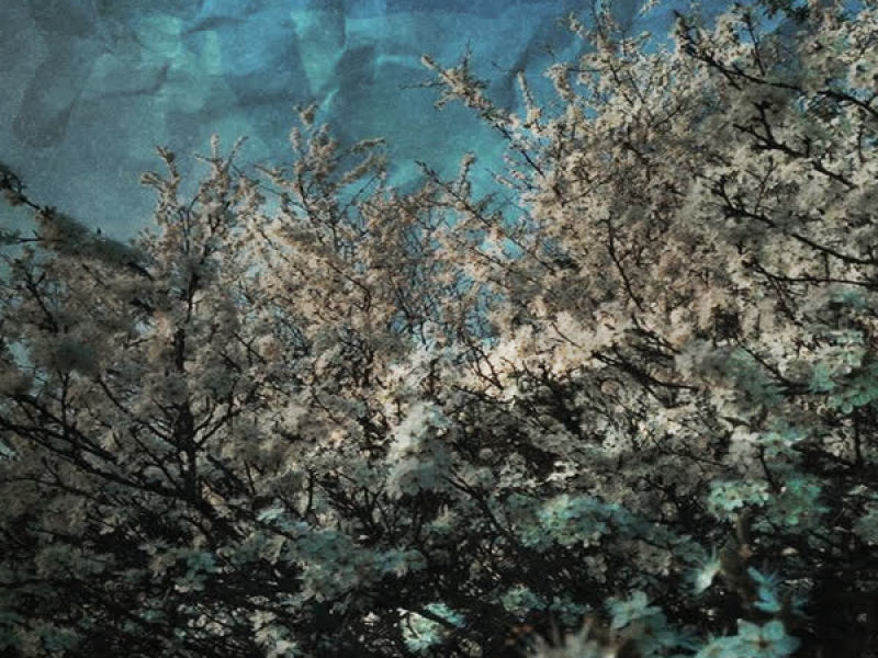 Була весна (Single)