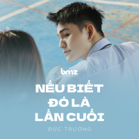 Nếu Biết Đó Là Lần Cuối (Single)