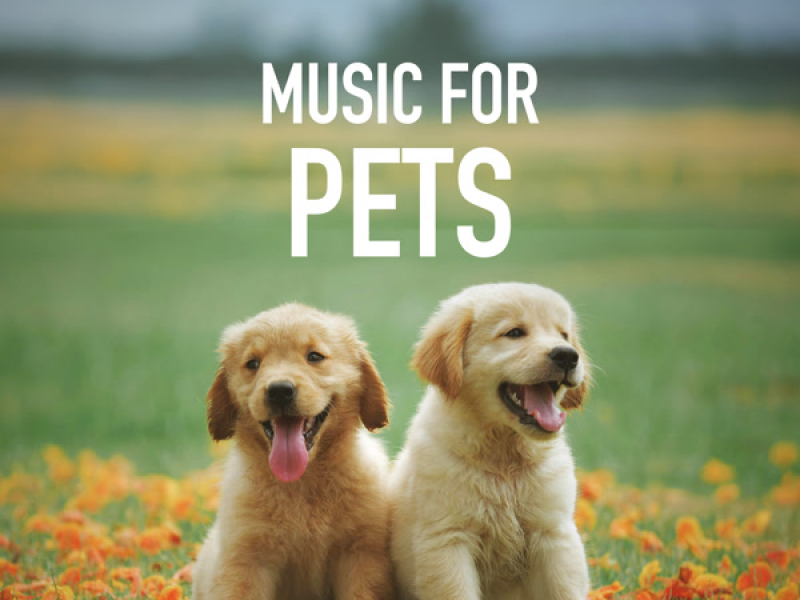 Music for Pets