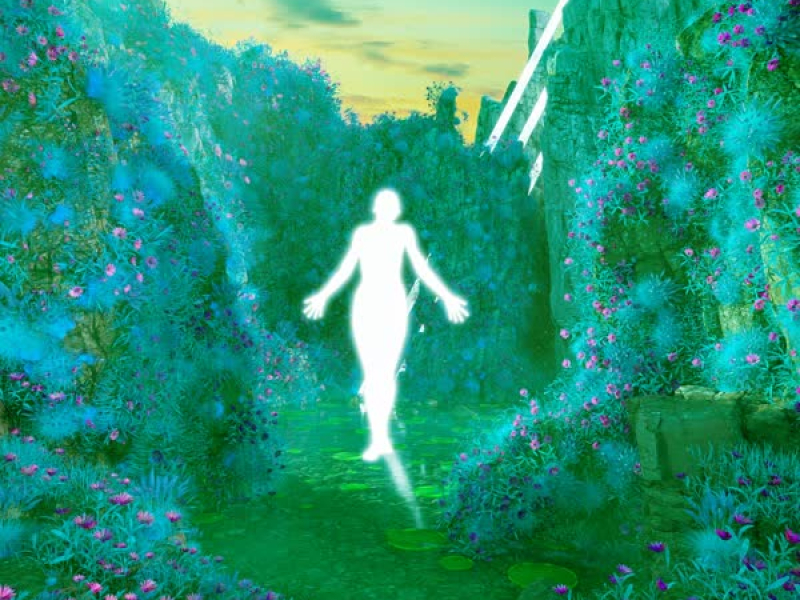 LIVE FOR MYSELF (dipgrix Remix) (Single)