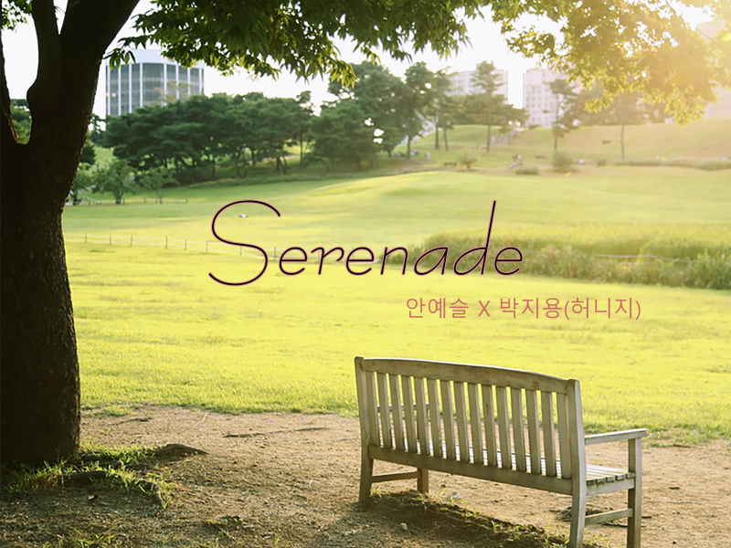 Serenade (Single)