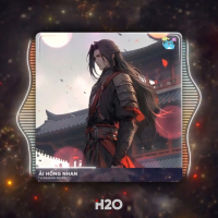 Ải Hồng Nhan (Remix) (Single)