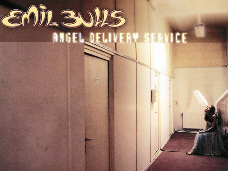 Angel Delivery Service