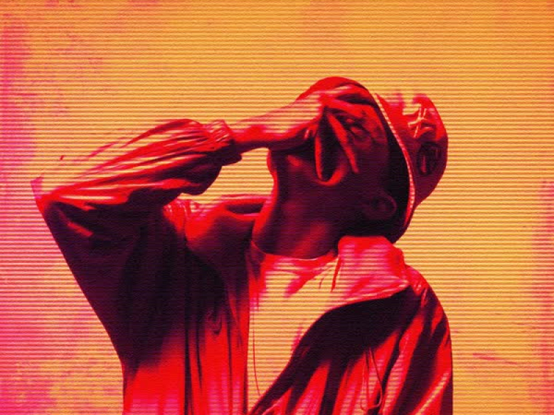 Stereo Love (Single)