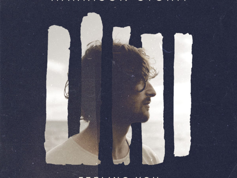 Feeling You (BLEM Remix) (Single)