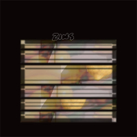 Zins (Single)