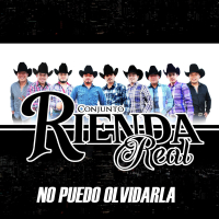 No Puedo Olvidarla (Single)