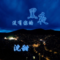 没有你的黑夜 (Single)