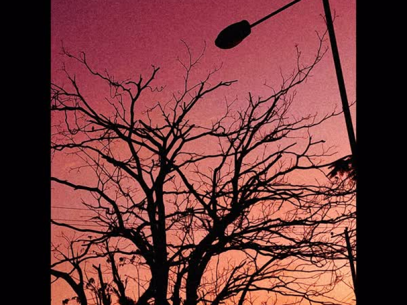 I'll Hold This L (Single)