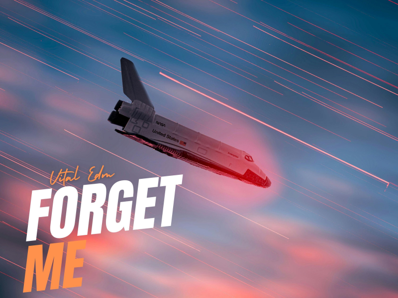 Forget Me (Single)