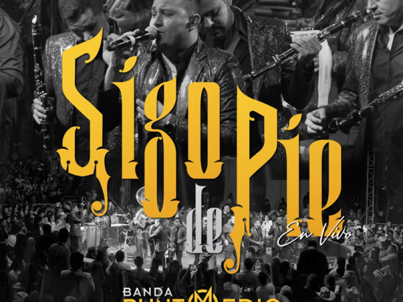 Sigo De Pie (En Vivo) (Single)