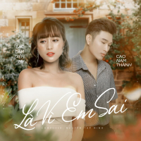 Là Vì Em Sai (Single)