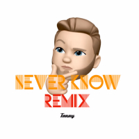 Never Know (Remix) (Single)