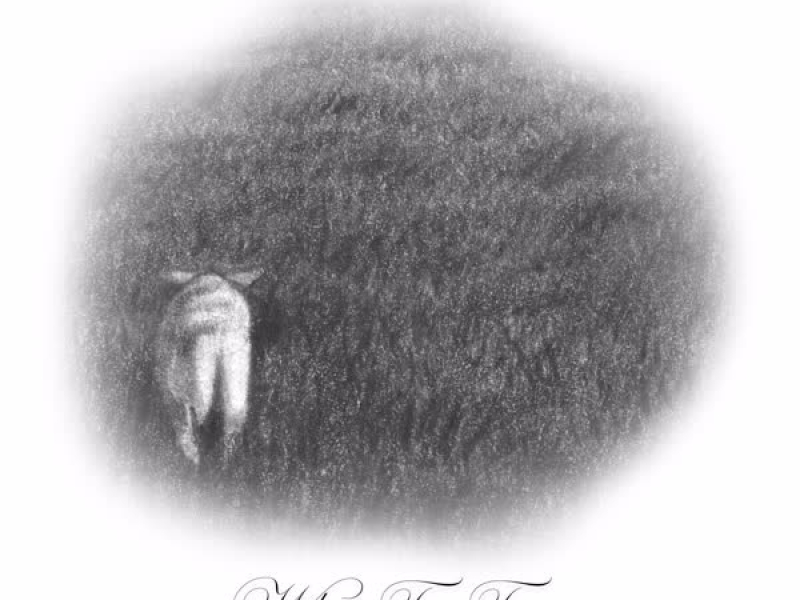 Who to Trust (Single)