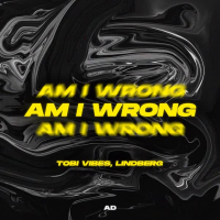 Am I Wrong (Techno Mix) (Single)