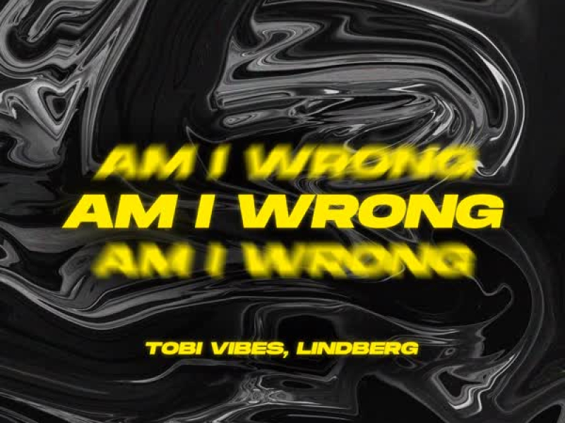 Am I Wrong (Techno Mix) (Single)