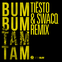 Bum Bum Tam Tam (Tiësto & SWACQ Remix) (Single)