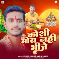 Koshi Mora Nahi Bheenje (Single)
