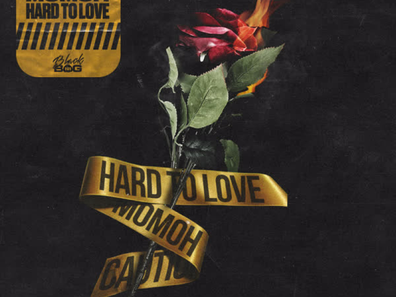 Hard to love (Single)
