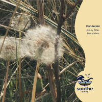 Dandelion (Single)